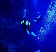 Loreto Scuba Diving 